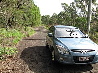 NSW - Yatte Yattah - Bloodwood Rd  (old H1)  south end of abandoned road beyond road closure(14 Feb 2010)